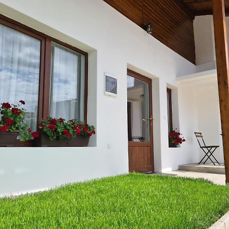 The Cozy Bunker Sibiu Exterior foto