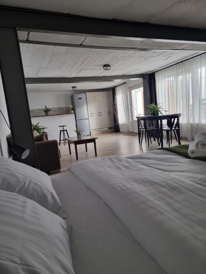 The Cozy Bunker Sibiu Exterior foto