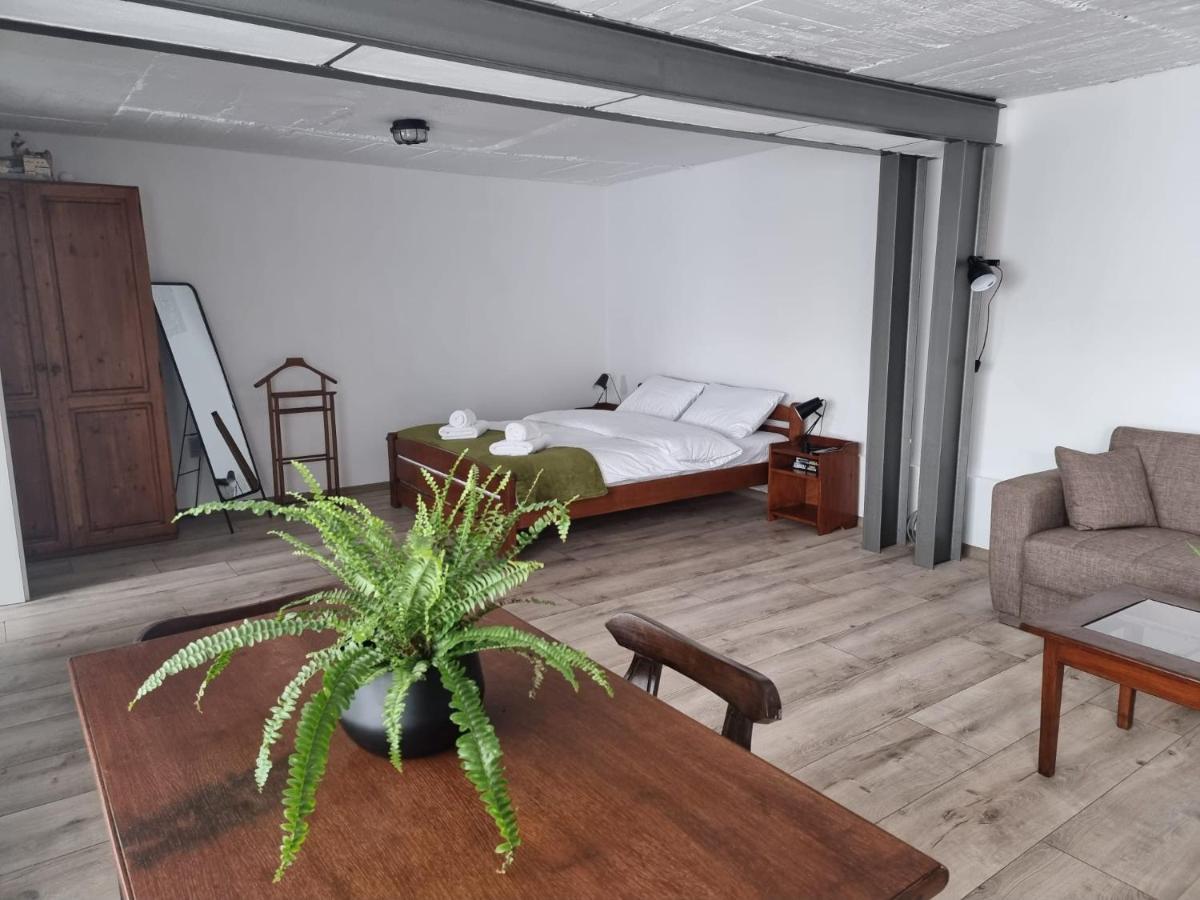 The Cozy Bunker Sibiu Exterior foto