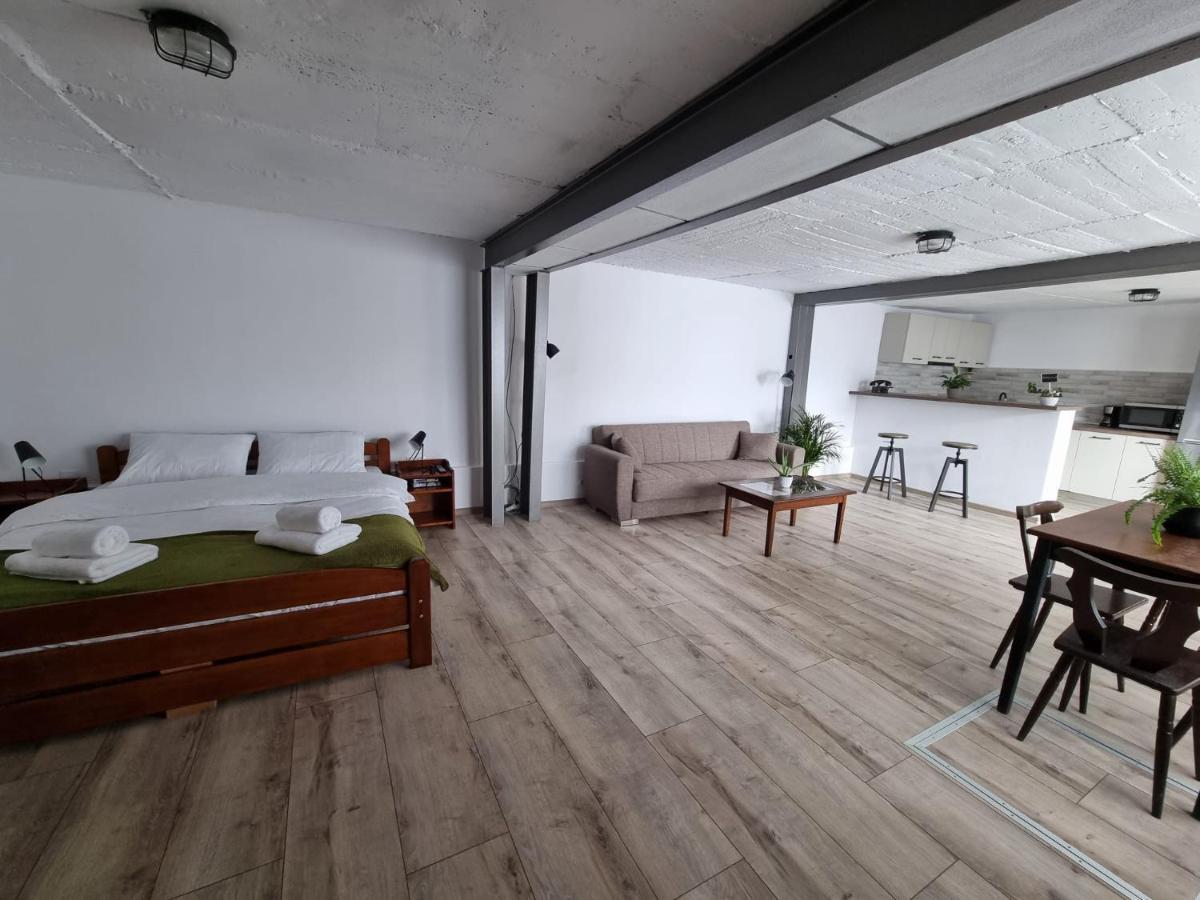 The Cozy Bunker Sibiu Exterior foto